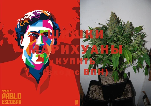гидропоника Бородино