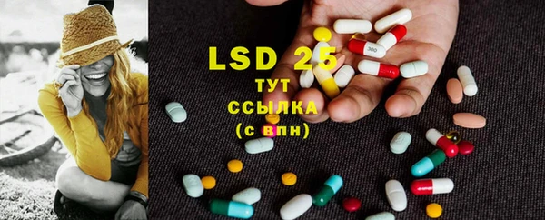 PSILOCYBIN Бугульма