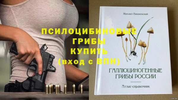 a pvp Бронницы
