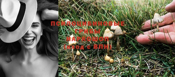PSILOCYBIN Бугульма