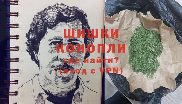 гидропоника Бородино