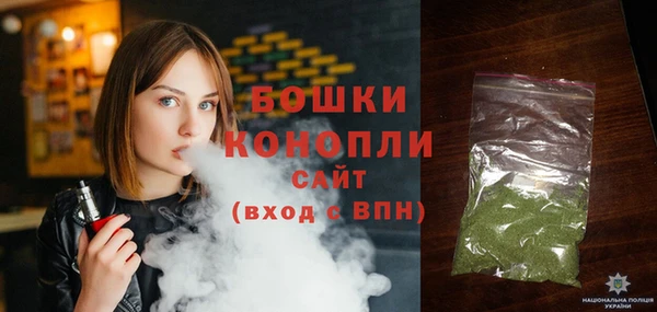 гидропоника Бородино